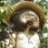 Tanuki