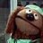 Dr Bob